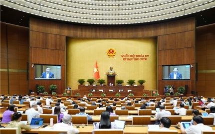 Luật Doanh nghiệp góp phần cải thiện môi trường đầu tư kinh doanh, nâng cao hiệu lực quản lý Nhà nước đối với doanh nghiệp