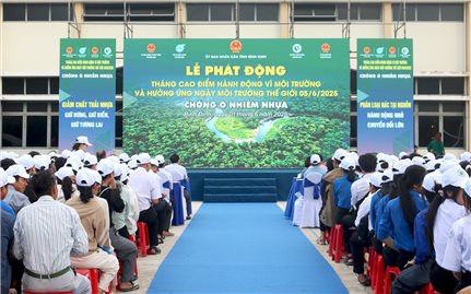 Bình Định: Phát động Tháng cao điểm hành động vì môi trường và hưởng ứng Ngày Môi trường thế giới năm 2025
