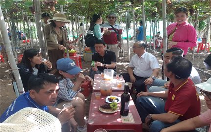 Ninh Thuận: Tổ chức Lớp bồi dưỡng nghiệp vụ quản trị du lịch năm 2025