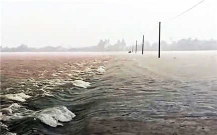 Quảng Ngãi chủ động ứng phó với mưa lớn, sạt lở đất