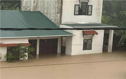 Quảng Nam: Hơn 700 ngôi nhà và 6.000 ha lúa, hoa màu bị ngập nước