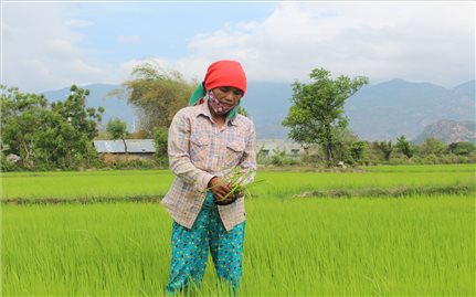 Thuận Bắc thực hiện tốt Dự án 1 Chương trình mục tiêu quốc gia 1719