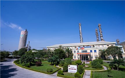 Công ty TNHH MTV Đạm Ninh Bình