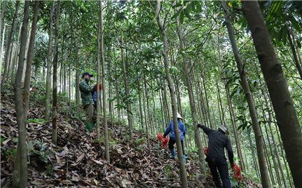 Quyết tâm hoàn thành giải phóng mặt bằng tuyến đường sắt Lào Cai - Hà Nội - Hải Phòng