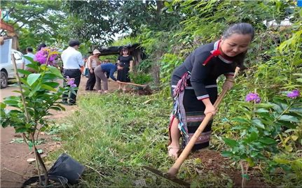 Chống ô nhiễm nhựa không quên trồng cây, giữ rừng