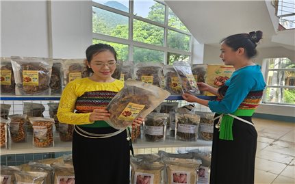 Măng rừng xứ Thanh: Từ món ăn dân dã đến sản phẩm OCOP