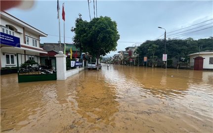 Điện lực Mường Khương ứng phó mưa lũ, bảo đảm an toàn lưới điện