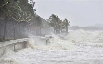 Cảnh báo thiên tai: Xuất hiện vùng áp thấp ở Biển Đông, có khả năng mạnh lên thành bão