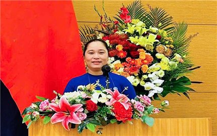 Cà Mau: Kỳ vọng vào những chuyển biến mới trong lĩnh vực dân tộc và tôn giáo