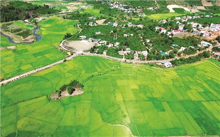 Những người 