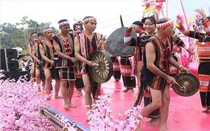 Những người trẻ “giữ lửa” văn hóa truyền thống bằng cả trái tim và nhiệt huyết
