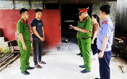 Lạng Sơn: Khởi tố 2 đối tượng mua bán hơn 2 tấn lợn nhiễm dịch tả Châu Phi