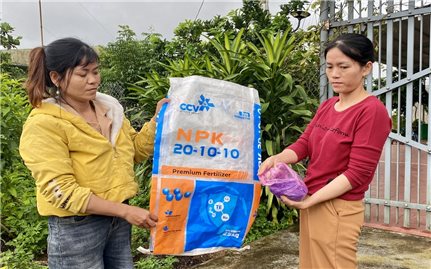 Quảng Ngãi: Nghi ngờ phân bón kém chất lượng, người dân làm đơn kiến nghị