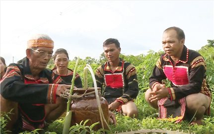 Ché - mạch nguồn của ký ức Tây Nguyên