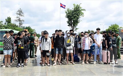 Tiếp nhận 85 công dân Việt Nam liên quan đến lừa đảo trực tuyến từ Campuchia