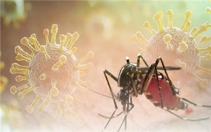 Dịch bệnh Chikungunya đang lây toàn cầu, Bộ Y tế khuyến cáo khẩn các biện pháp phòng, chống