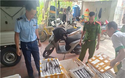 Thanh Hóa tiêu hủy hơn 1 tấn thực phẩm không rõ nguồn gốc