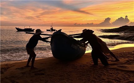 Miên man Gò Cỏ