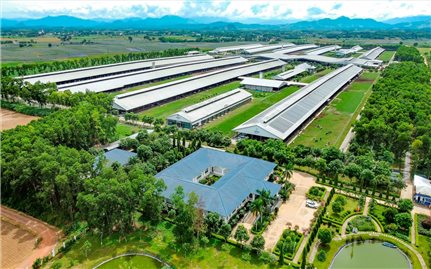 Vinamilk được xếp hạng thương hiệu AAA+: Khẳng định vị thế Việt Nam trong ngành sữa thế giới