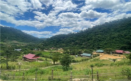 An yên cho người Đan Lai