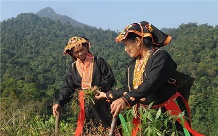 Chuyển biến trong nếp nghĩ cách làm từ Chương trình MTQG 1719