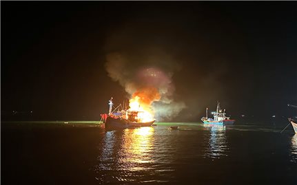 Quảng Ngãi: Tàu cá đang neo đậu bất ngờ bốc cháy