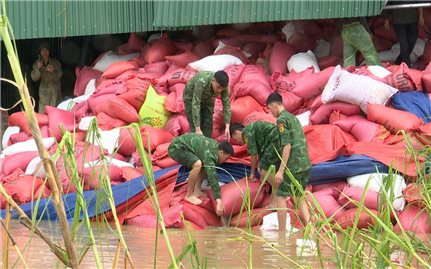 Bộ đội Biên phòng giúp dân khắc phục hậu quả bão số 5