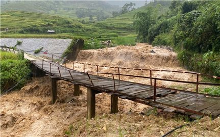 Hơn 700 ngôi nhà ở Lào Cai bị ảnh hưởng do báo số 5