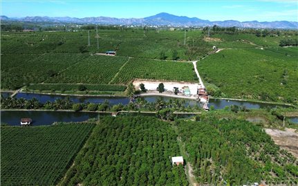 Xây dựng xã Đăk Hà trở thành vùng sản xuất nông nghiệp xanh