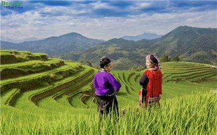Ruộng bậc thang - Tuyệt tác giữa đại ngàn Tuyên Quang