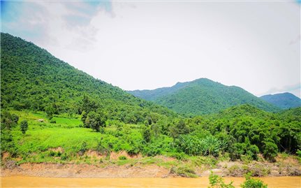 Niềm vui trước ngày Tết Độc lập