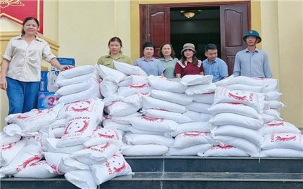 Tổ chức các điểm bán hàng lưu động bình ổn giá tiếp sức cho người dân vùng lũ