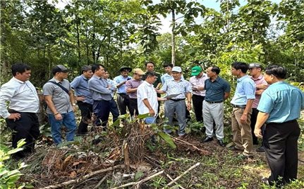 Gia Lai: Đầu tư hơn 1.200 tỷ đồng xây trường nội trú liên cấp ở 7 xã biên giới