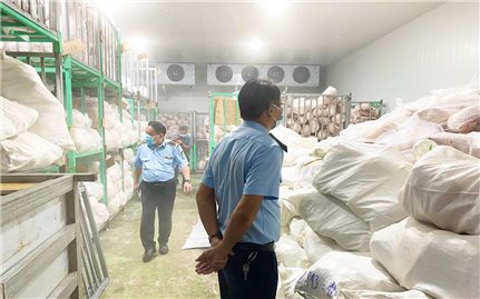 Gia Lai: Trữ hơn 100 tấn thịt lợn không nguồn gốc, một hộ kinh doanh bị phạt 90 triệu đồng