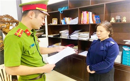 Thanh Hóa: Khởi tố vụ trốn thuế “khủng” hơn 11 tỷ đồng
