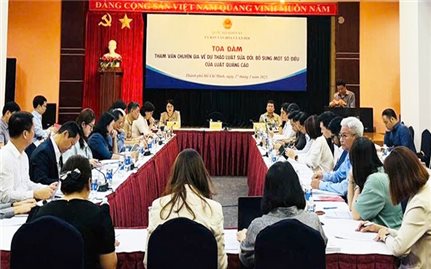 Luật Quảng cáo sửa đổi xây dựng môi trường quảng cáo công khai, lành mạnh