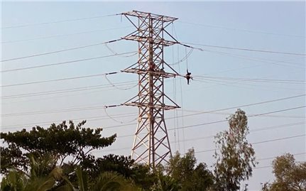 EVNSPC: Quyết tâm hoàn thành kế hoạch đầu tư xây dựng năm 2025