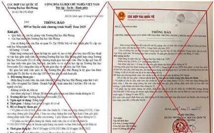 Bộ Giáo dục và Đào tạo cảnh báo thông tin giả về học bổng, tài trợ du học