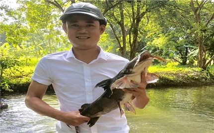Thanh niên dân tộc Mường thành công nhờ nuôi thử nghiệm được giống cá quý