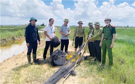 Hãy bảo vệ để những cánh chim di cư bay mãi...