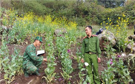 Lai Châu tập trung xây dựng “xã không ma túy”