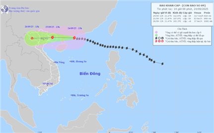 Cảnh báo bão số 9: Mưa lớn, gió giật và lũ