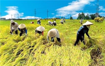 Nâng quy mô gói tín dụng ưu đãi ngành nông, lâm, thủy sản lên 185.000 tỷ đồng