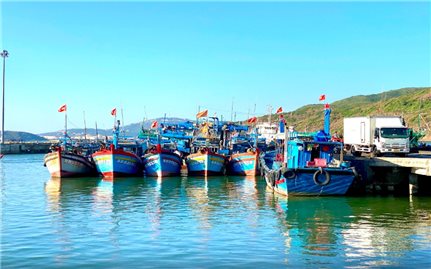 Gia Lai kêu gọi tàu thuyền về nơi an toàn tránh bão Bualoi