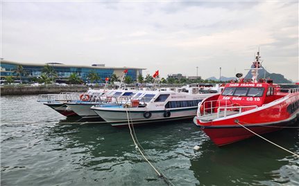 Tạm ngừng cấp phép tàu trên vùng biển Quảng Ninh từ 18 giờ ngày 27/9