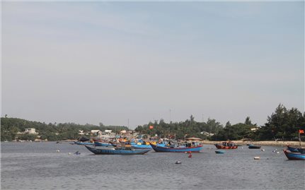 Quảng Ngãi cấm tàu thuyền ra biển từ chiều 27/9, khẩn trương triển khai ứng phó bão số 10