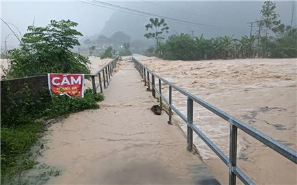 Bão Bualoi diễn biến phức tạp, Thường trực Ban Bí thư chỉ đạo ứng phó
