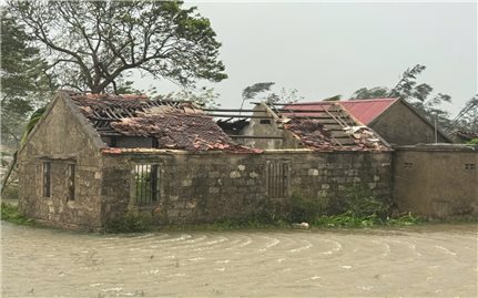 Bão số 10 quần thảo nhiều giờ, Nghệ An “nát tươm”
