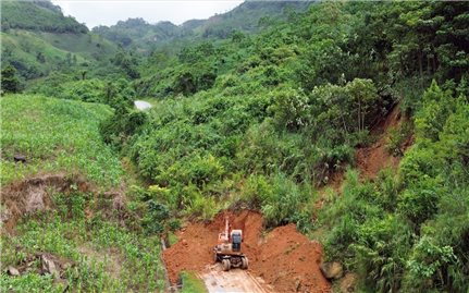 Mưa dông làm gần 300 ngôi nhà bị hư hỏng ở Lào Cai