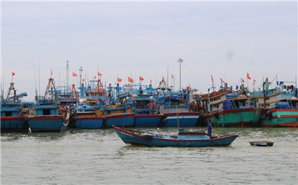 Gia Lai một tàu cá với 8 lao động bị mất liên lạc do ảnh hưởng của bão số 10